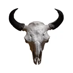 Poster Ancient cow skull on a white background © wlad074