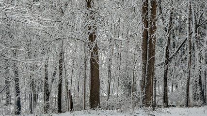 2018-03-02 Berea after snow storm