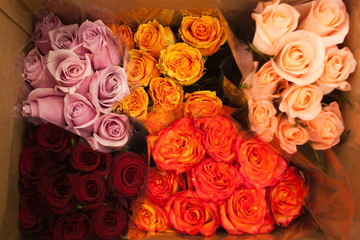 many bouquets of roses