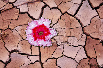 Terra,planeta água. © emersonrojas
