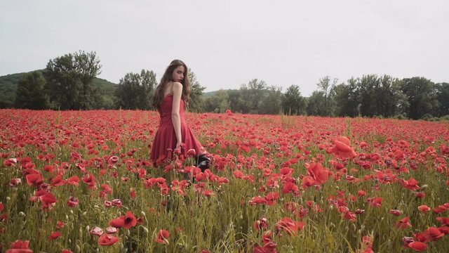 Sensual girl in poppy field. Young girl in the field. Girl having fun in the flowwer field. Field of flowers.