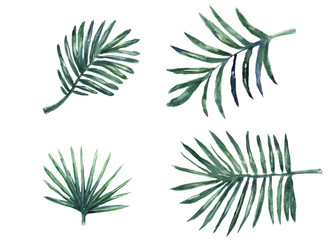 Watercolor palm leaves set