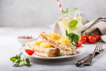 Hot fresh hawaii toast sandwich with ham, pineapple, tomato and cheese. Healthy summer food concept with free space for text.