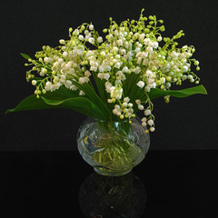 lily of the valley on the black glass background 
