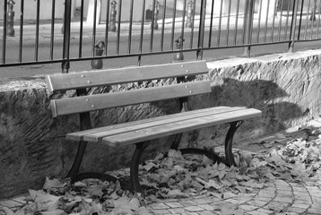 banc public en noir et blanc en automne 
