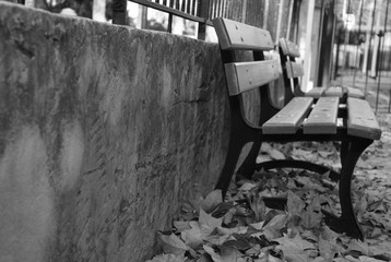 banc public en noir et blanc en automne 