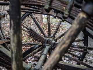 wheel © Bartek