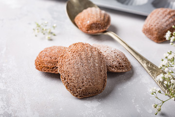 Homemade chocolate cookies Madeleine. Holidays and party food concept with copy space.