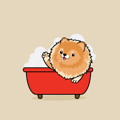 Cute cartoon character design Pomeranian dog in tub take a bath in bathtub with  soap bubbles