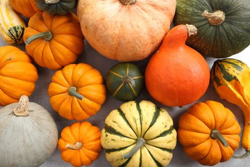 Pumpkins and squash.