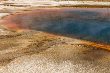 Turquoise Pool