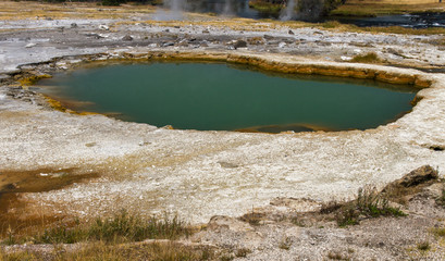 Black Opal Spring