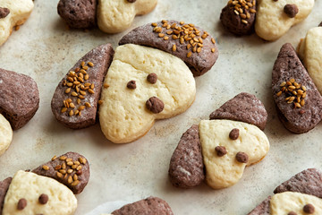 Cookies in the form of dogs in the form for baking