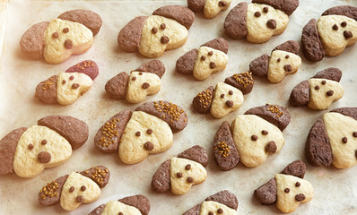 Cookies in the form of dogs in the form for baking