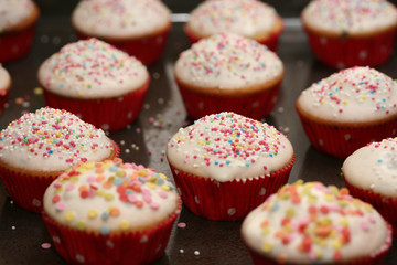 Muffins Cup Cakes mit weißem Zuckerguss und bunten Streuseln
