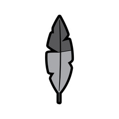 feather bird icon image vector illustration design 
