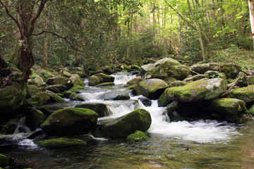 Naklejka na ściany i meble A mountain stream located in the Smokey Mountain National Park, KY