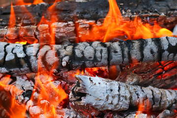 burning wood. background. fire and coals.