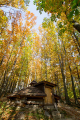 Fototapety na wymiar - Fototapeta24.pl