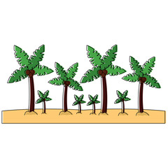 palm trees sand beach landscape  icon image vector illustration design 