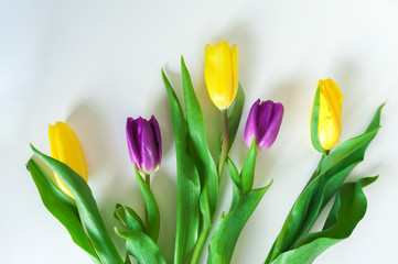 bouquet of yellow tulips on a blue wooden background