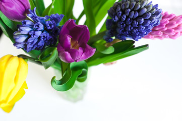 Fresh blooming flowers by March 8. Beautiful tulips yellow and purple with juicy green leaves on a white background. A beautiful bouquet of hyacinth and tulips. Hyacinths are pink and blue.