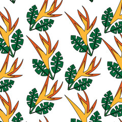 paradise flower wild pattern image vector illustration design 