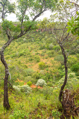 Chapada das Mesas in Maranhao Brazil.