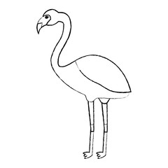 Obraz premium flamingo bird tropical icon image vector illustration design black sketch line