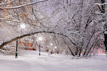 Path in the park in snow lit with streetlights