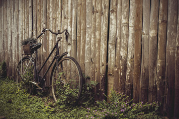 vintage bicycle