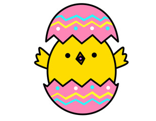 ヒヨコ(色、殻上下、模様)