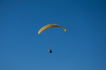 paraglider