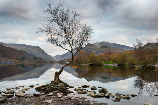 Llyn Padarn In Wales