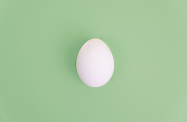 One white egg on pastel green background.