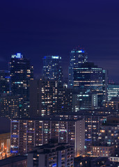 Fototapeta na wymiar Downtown Toronto at night 
