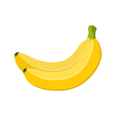 Vector illustration of banana bunch, tropical yellow fruit. Cartoon flat style