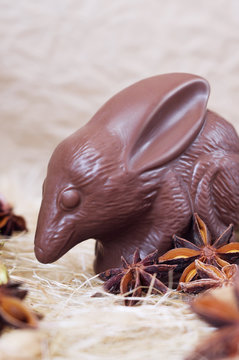 Chocolate Easter bilby against a paper background. Australian Easter concept.