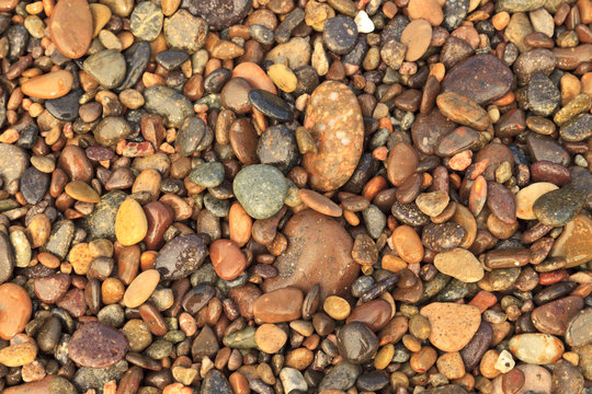 Cabo Pulmo, Los Cabos area, Baja California, Mexico. Close-up of rocks on the beach.