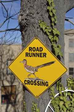 USA, Arizona, Jerome, Road Runner Crossing sign