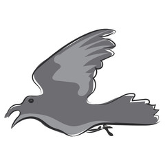 graphic design editable for your design, hand drawn bird on white background. vector illustration.