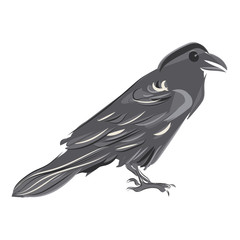 graphic design editable for your design, hand drawn bird on white background. vector illustration.