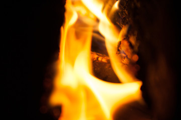 Flame of fire in a tree stove