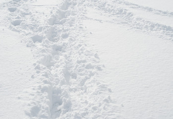 冬　雪　足跡　道　素材