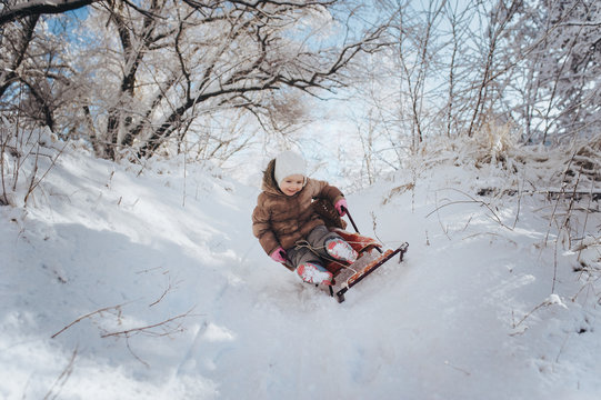 The litle girl is riding a sled. The child falls from the sled. Winter walks children with parents. Extreme, adrenaline, danger.