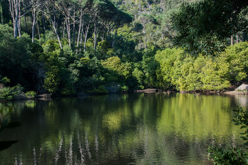 Fototapeta premium Em Sintra, uma das mais tradicionais vilas portuguesas