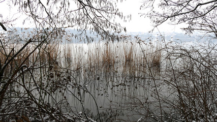 Inverno al lago di Como