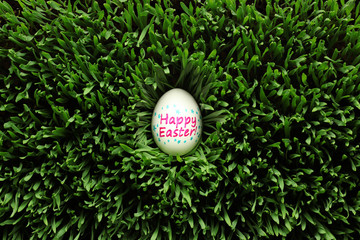 Single Happy Easter egg hidden in grass