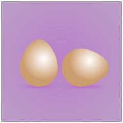real nature realistic eggs on white background. Easter collection. Vector illustration Easter eggs