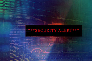 Security alert on a computer system and server